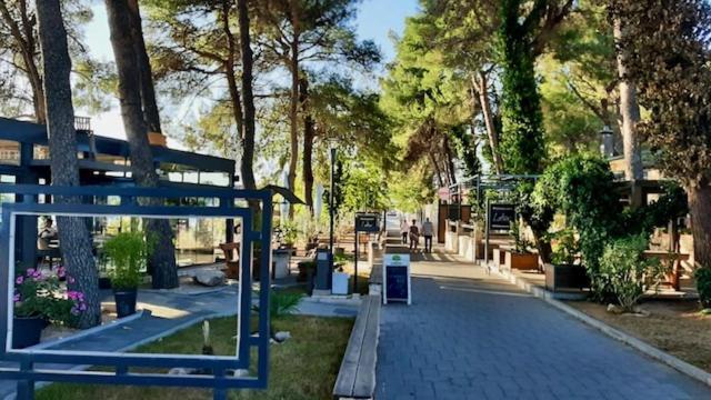 סרימה Zsa Zsa Holiday Home מראה חיצוני תמונה